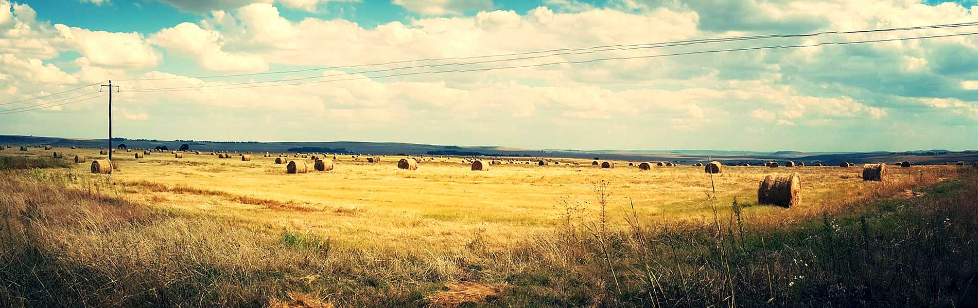 Property/Farm